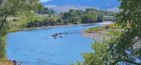 Rustic Elegant Cabin 5 Mns to Ynp ~ Open Year Round - Chalets