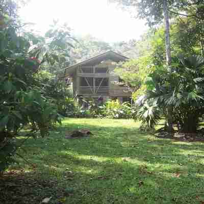 Casa Piña,  Bamboo Rainforest Beach House Hotel Exterior
