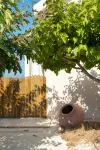 Seafront luxury villa with private swimming pool in Pomos, Cyprus. - 民宿