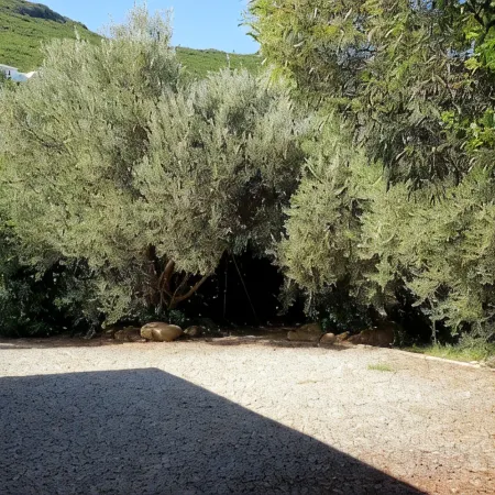 Mini villa T2 on the seafront at Marine de Sisco, ideal for discovering the Cape.