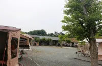 Campground Full of Stars - Homestays