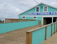 Obx, NC, Pristine Ocean Views, Without Oceanfront Price! - Beach