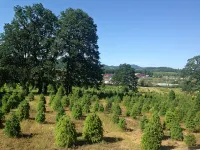 Contemporary Flat on a Christmas tree farm 5 Minutes to Oregon State University - 3つ星