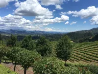 Available * Downtown Napa- Beautifully Remodeled --2Bedroom 2 Bathroom Home - 2-Star