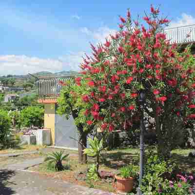 Mascali: "Il casale degli aranci" house / villa with garden 3 rooms - 2/5 persons Hotel Exterior