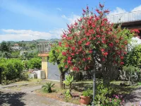 Mascali: "Il casale degli aranci" house / villa  with garden  3 rooms - 2/5 persons - 무료 와이파이