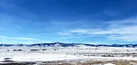 Shedhorn Cabin #3 of 3 - 1 BEDR & Full RV Hookups - Homestays