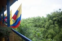 Finca Hotel Los Girasoles - Mountain view