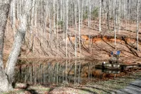 Relax in Nature's Beauty: Private Log Cabin w/ Two Spacious, Open Living Areas - Gym