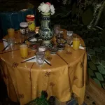 Dar Aldea - Pet friendly