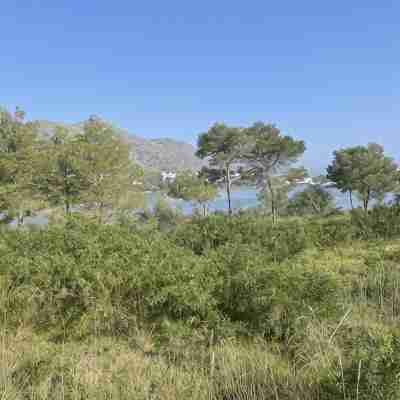 Apartment with a view of Lago Esperanza (2) Others