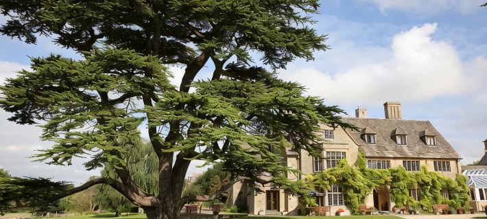 Stanton House Hotel Hotels in Swindon