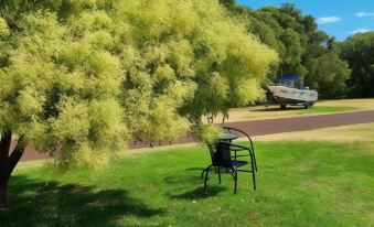 a grassy field with a table and chairs under a tree , creating a relaxing atmosphere at Emu Point Motel