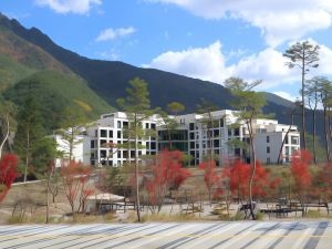 Pine Forest Jeongseon Alpine Resort