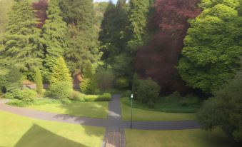 a lush green park with tall trees , a paved walkway , and a path leading to the center of the scene at Balcary House Hotel