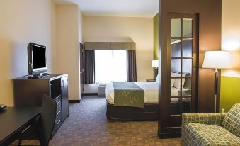 Comfort Suites Lake City