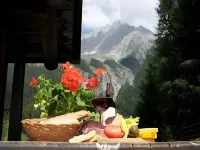 Sport Hotel Wildgall - Mountain view
