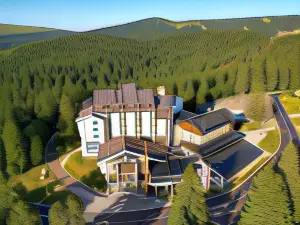 Hotel Putnik Kopaonik