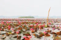 Banpak Suankaew Talaynoi - Wifi