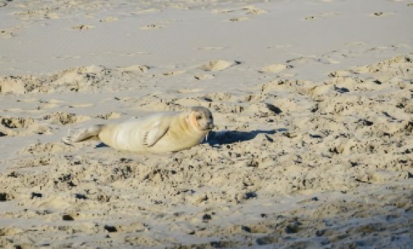 Hotel De Zeevaartschool