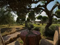 Agrikies Country Retreat Hotels in Gargaliani