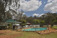 Azalea Motel - Pools