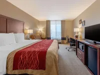Comfort Inn Limon فنادق في ليمون