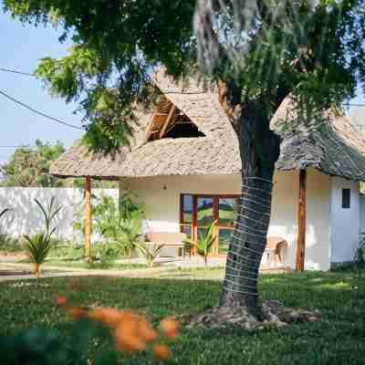 Malika Nungwi Hotel Hotel Exterior