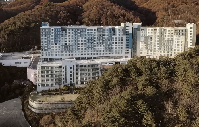 호텔 어라운드 포레스트