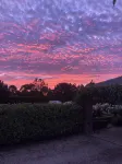 La Bella Vita