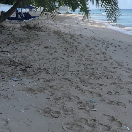 DolphinBay beachfront bungalow directly on the platinum WestCoast, 2Beds, 2Baths