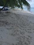 DolphinBay beachfront bungalow directly on the platinum WestCoast, 2Beds, 2Baths - 빌라