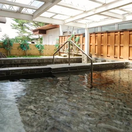 Ikenotaira Shirakaba Kogen Hotel
