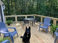 The Winterbrook Mountain House.Bike Week Garage Owls Nest Golf Hotels in Campton