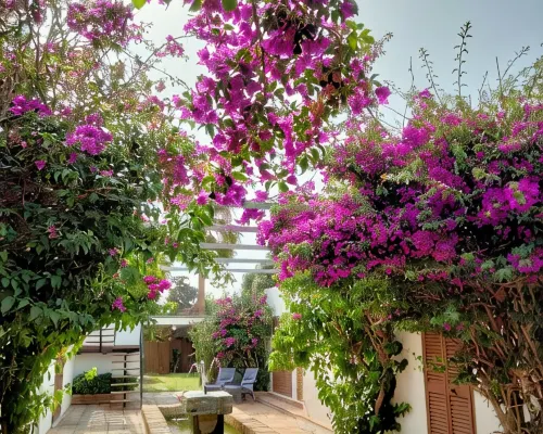 LA OLA Tarifa Hotéis em Tarifa