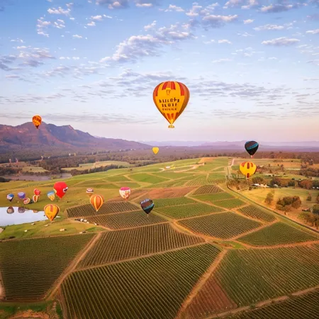Aussie Chillout - Coal d' Vine Cottage - Cessnock NSW