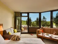 H+ Willingen Hotels in Willingen