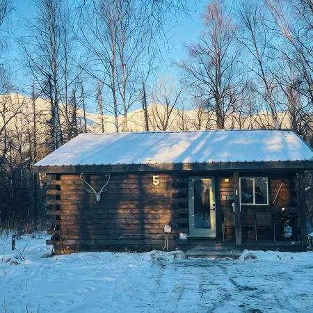 Cozy, pet-friendly, 2-bedroom cabin in beautiful Palmer, Alaska