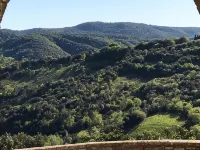 Stay on the walls of Murlo Castle, apartment with breathtaking views Hotels in Murlo