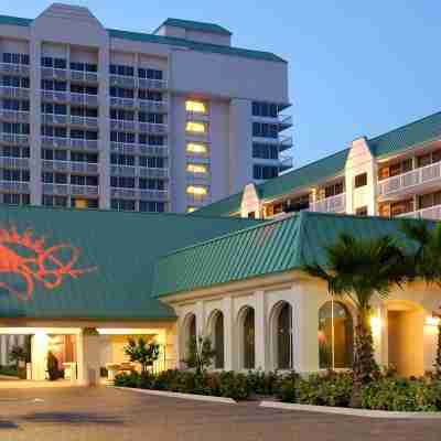 Cozy studio condo with direct ocean view in amazing Daytona Beach Hotel Exterior