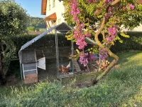 Cozy vacation apartment with sun terrace - Homestays
