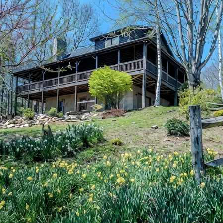 Appalachian Mountain Evergreen Retreat