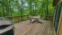 Modern Cozy Woman Lake Woodland Cabin, 24 acres, lakeshore, woodstove, AC, Wi-fi - Hytter