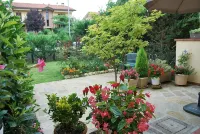 Casa Grazia, quiet nest near the center. free parking all over the street. - Apartments