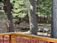 Tahoe Donner Mountain Retreat: Fire Pit, Beach Club, and Trails - ビーチサイド