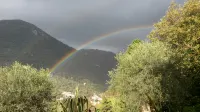 Rustic first hill sea view in Versilia - مطابخ