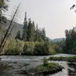 Mckenzie River Cabin at The Log Cabin Inn - Chalets