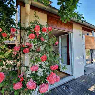 On your terrace at the foot of an oak tree, feel the Alsace's vibes ! Hotel Exterior