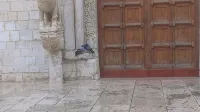 B&B San Lorenzo is in Conversano City of Art - 2 stelle