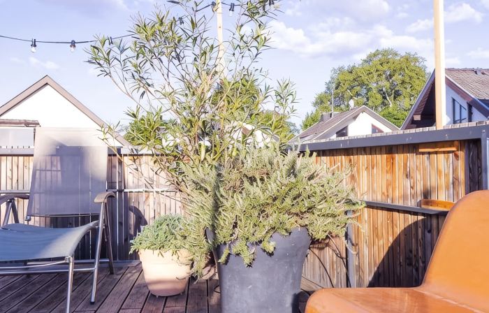 Stylish apartment with large terrace, air conditioning and parking space